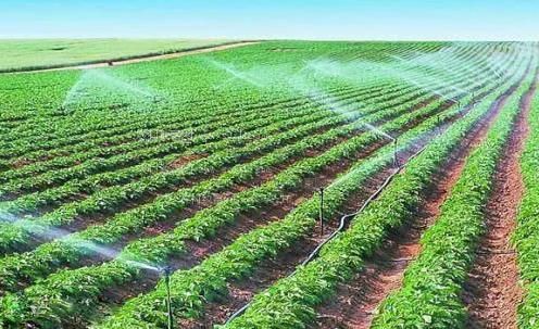 美女逼啊啊啊啊啊免费视频农田高 效节水灌溉